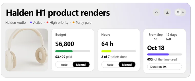 A project head with the budget and what is paid, the hours, and the deadline with the days left